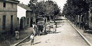 1542- Douaouda - Grande Rue2